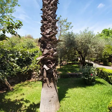Vakantiehuis Gli Ulivi